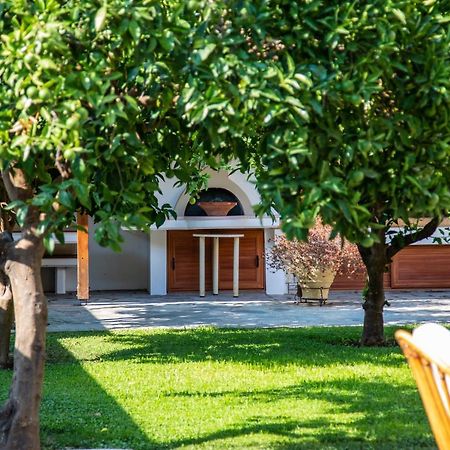 Amaryllis Holiday Home Agios Spyridon (Phocis) Exterior foto