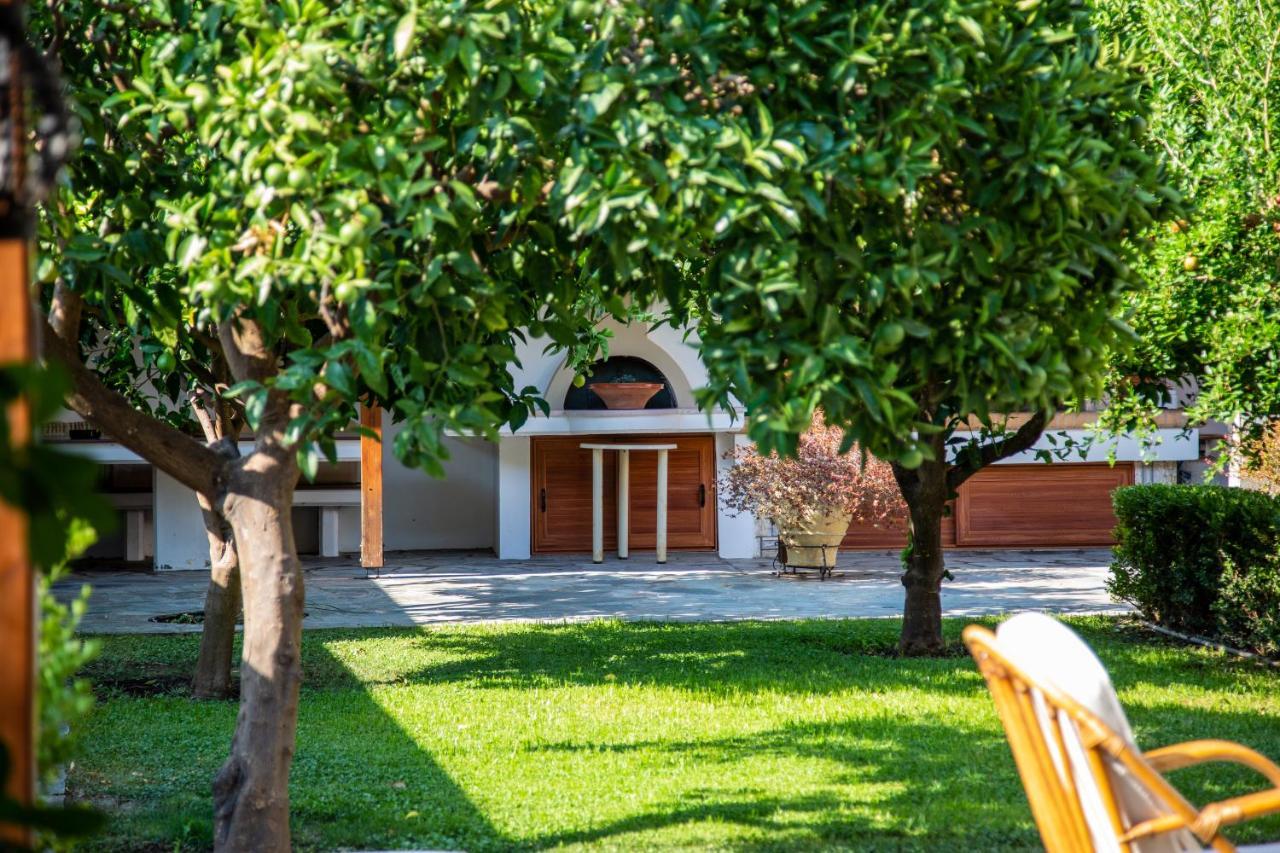 Amaryllis Holiday Home Agios Spyridon (Phocis) Exterior foto