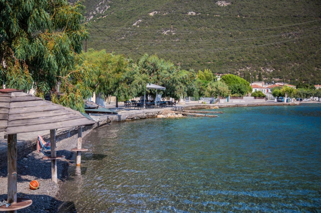 Amaryllis Holiday Home Agios Spyridon (Phocis) Exterior foto
