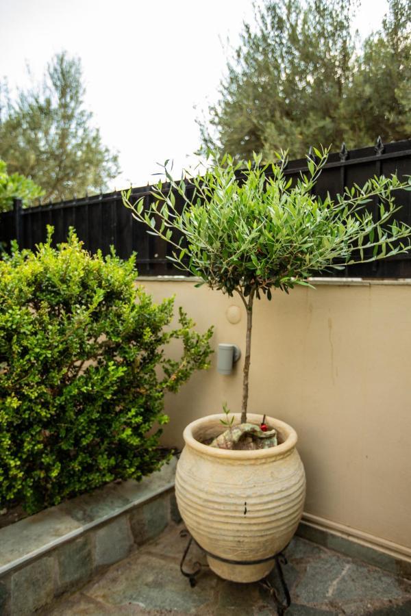 Amaryllis Holiday Home Agios Spyridon (Phocis) Exterior foto